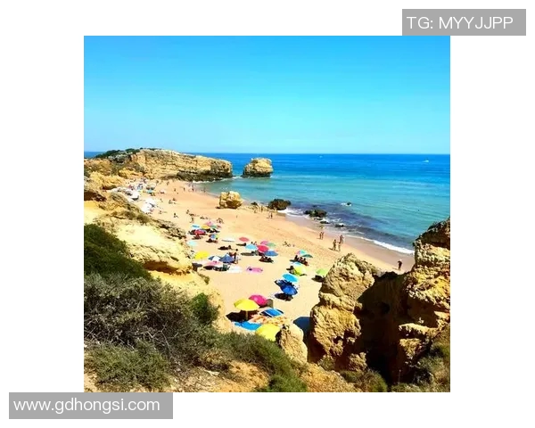 夏季泳装购物指南：选购技巧与流行款式推荐，帮你打造完美海滩造型