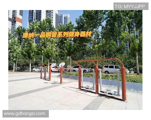 户外健身器材国内市场分析与发展前景