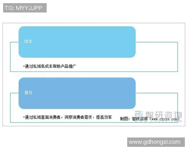 杭州篮球队控制策略解析及其对球队发展的影响探讨