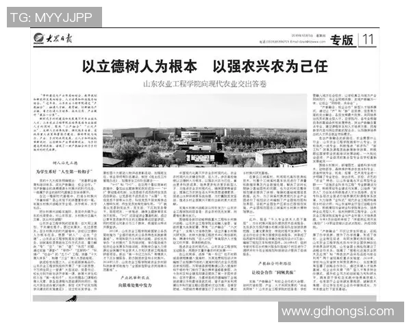 南京羽毛球队阵地战革新探索与实践的深度剖析与未来展望
